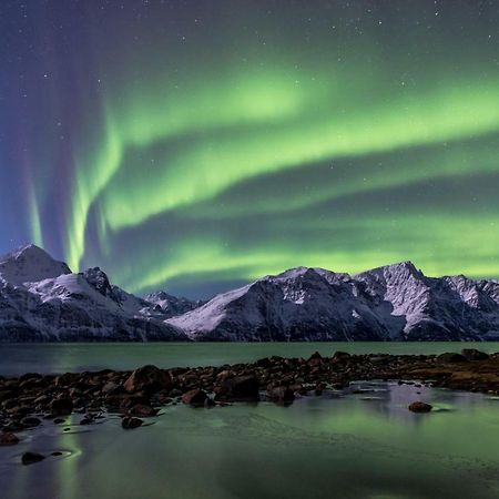 Lyngenfjord,Odins Hus Apartman Olderdalen Kültér fotó
