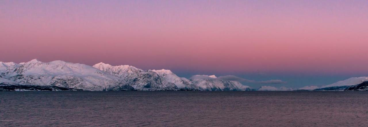 Lyngenfjord,Odins Hus Apartman Olderdalen Kültér fotó