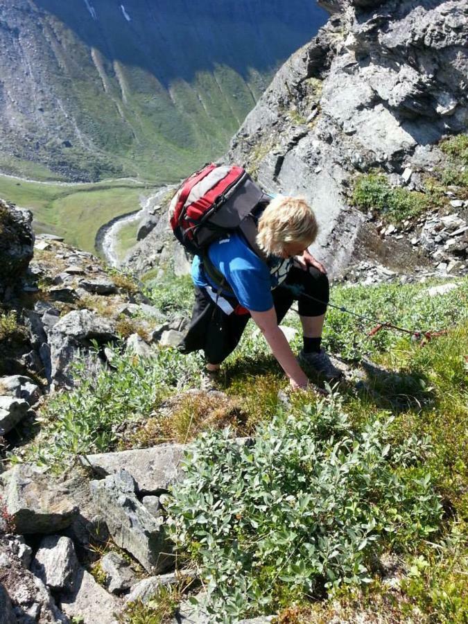 Lyngenfjord,Odins Hus Apartman Olderdalen Kültér fotó